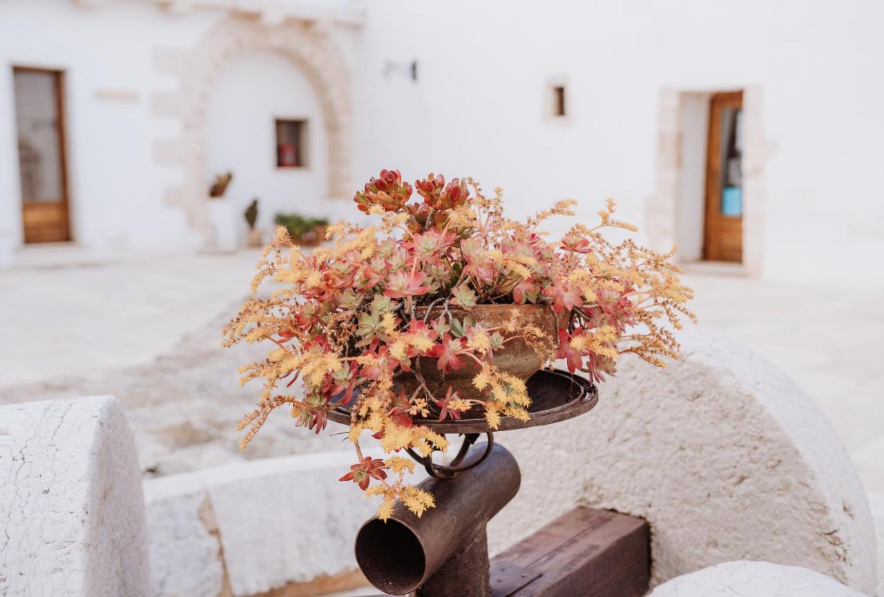 Alojamento de Turismo Rural Masseria Casamassima Agriturismo