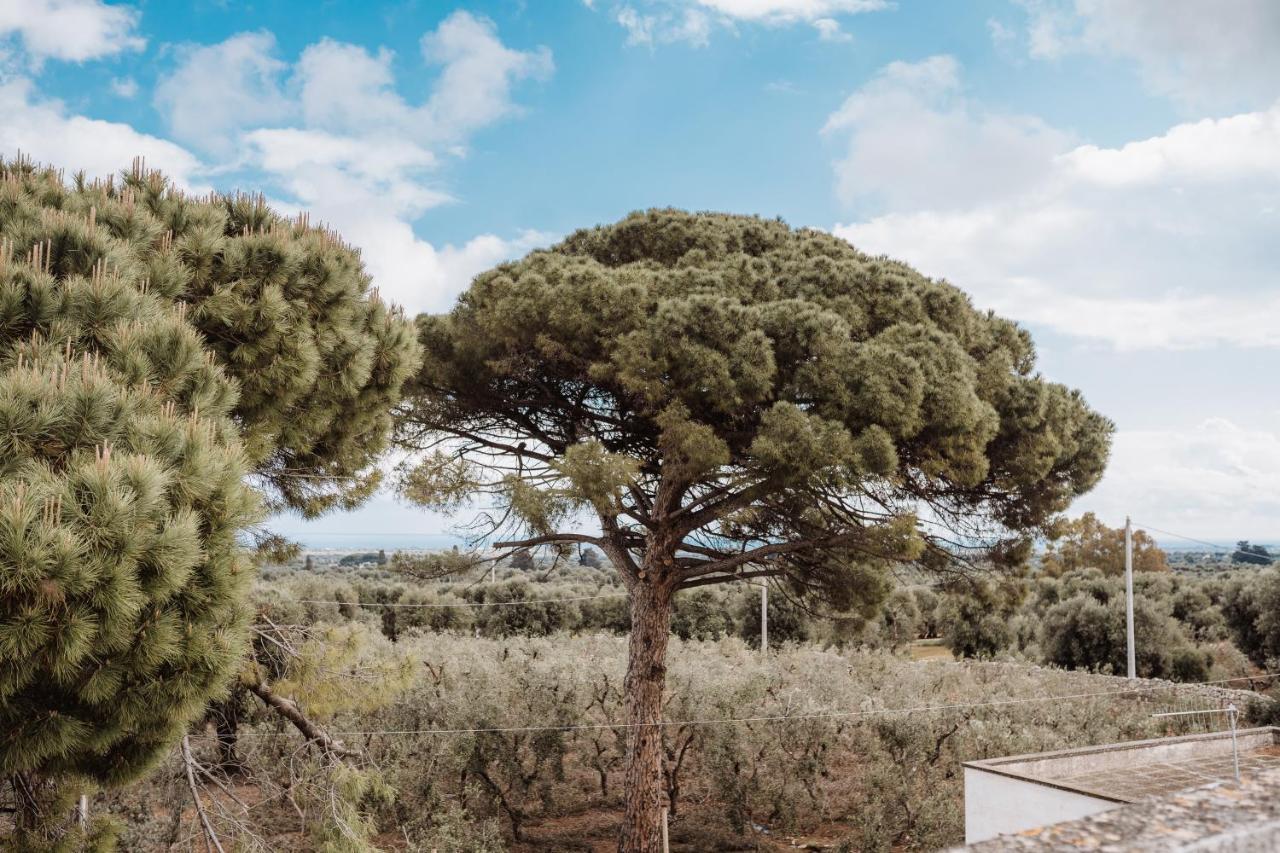 Masseria Casamassima Agriturismo Alojamento de Turismo Rural Ostuni