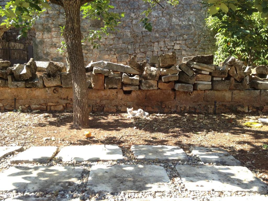 Masseria Casamassima Agriturismo Alojamento de Turismo Rural